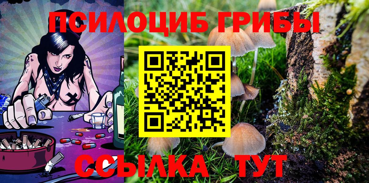 Псилоцибиновые грибы Cubensis Новочеркасск