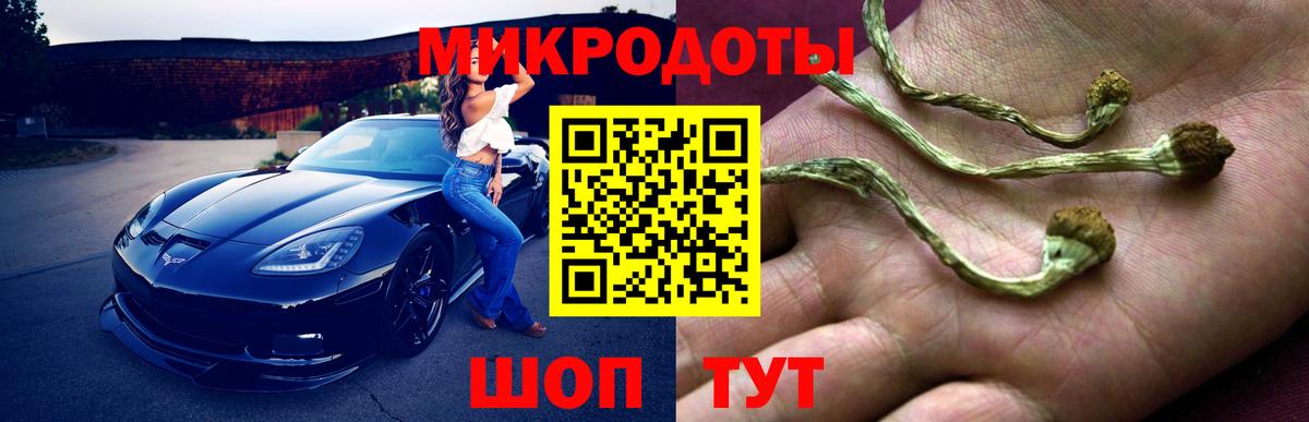 Новочеркасск  Псилоцибиновые грибы мицелий  Вход с VPN 